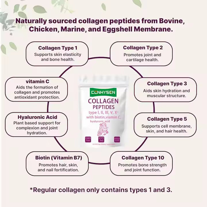 Suplemen OEM Kolagen Peptida Bubuk Untuk Kulit Rambut Kesehatan Sendi Mendukung Anti Penuaan