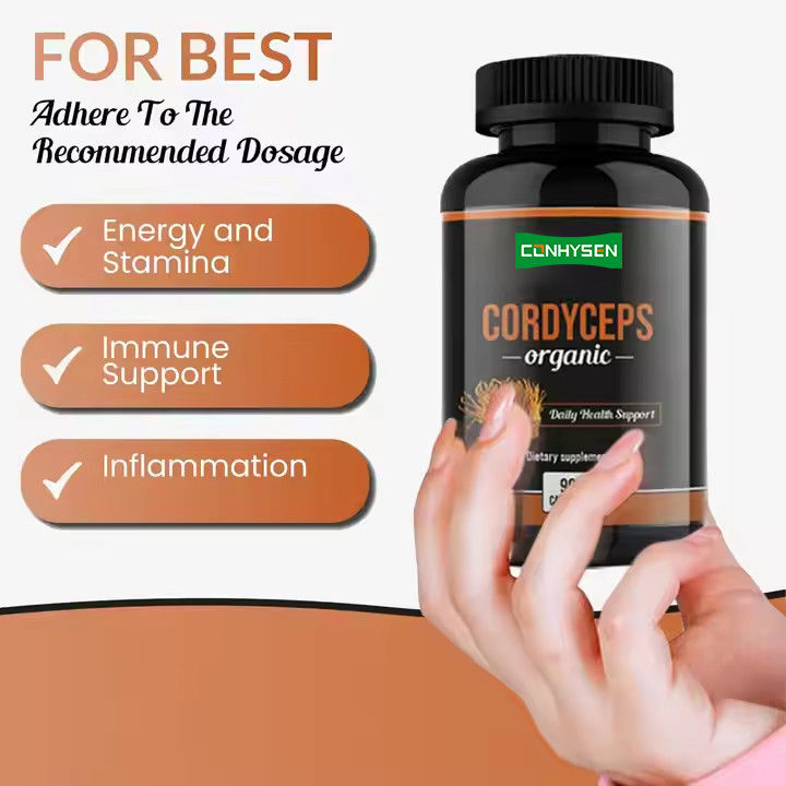 OEM ODM Organik Cordyceps Kapsul Mempromosikan Fungsi Otak Herbal Suplemen Kapsul