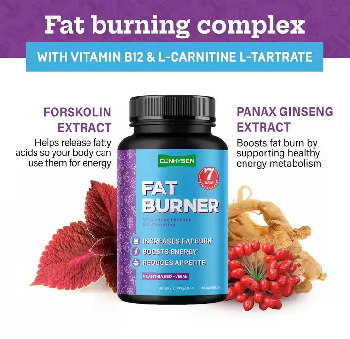 OEM Logo Kapsul pembakar lemak dengan Vitamin B12 L-Carnitine L-Tartrate Mengurangi nafsu makan