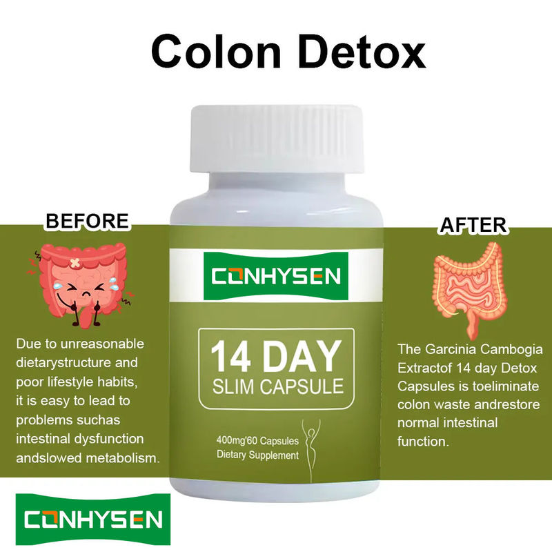 Label Pribadi Kapsul Penurunan Berat Badan 14 Hari Detox Perut Datar Cepat dengan Pil Garcinia Cambogia