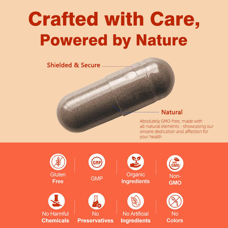 Non-GMO Saw Palmetto Kapsul 500mg Kompleks Dukungan Hormonal Keseimbangan Kesehatan Rambut