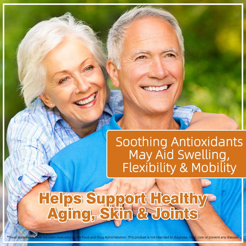 Kapsul Lumut Laut Organik Dengan Bladderwrack Burdock Mendukung Sendi dan Kulit yang Sehat