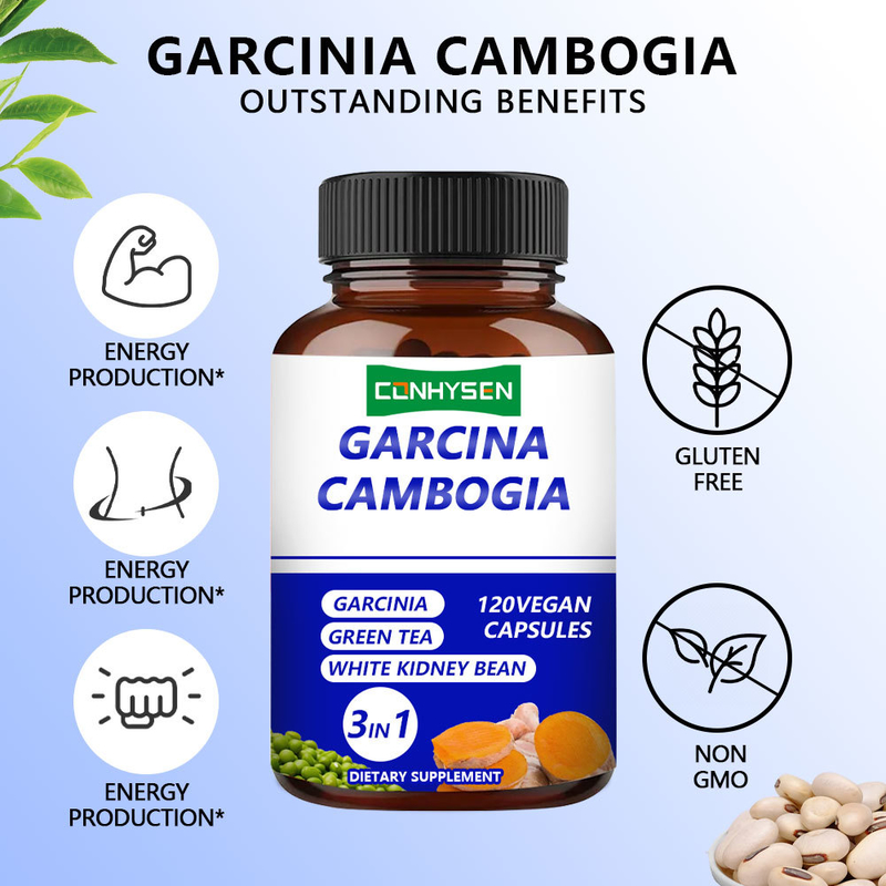 Kapsul Garcinia Cambogia Label Pribadi Suplemen 3-In-1 Mendukung Keseimbangan Tubuh dengan Teh Hijau