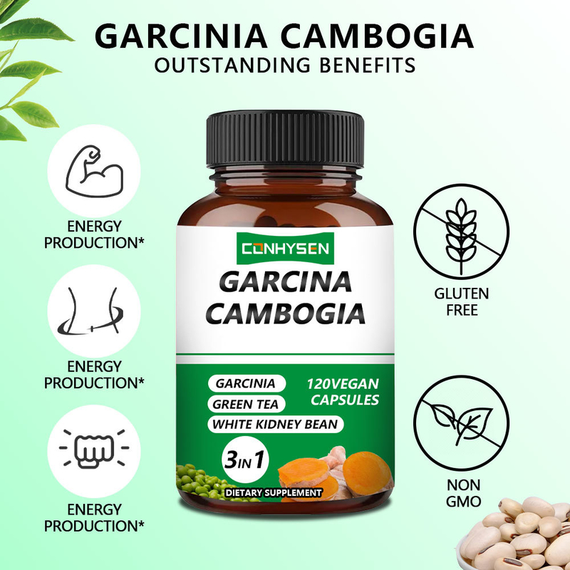 Kapsul Garcinia Cambogia 3-In-1 Kustomisasi Mendukung Kekuatan Dengan White Kidney Bean