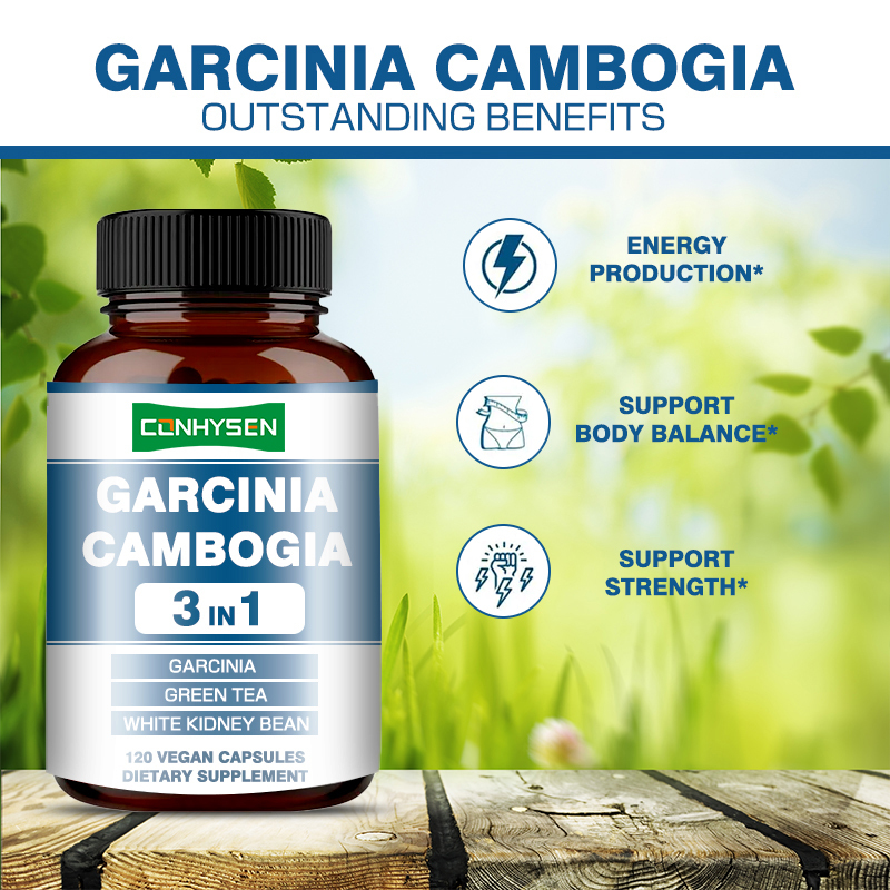 Premium Custom Garcinia Cambogia Kapsul Suplemen Kacang Putih Untuk Produksi Energi