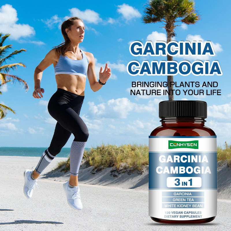 Premium Custom Garcinia Cambogia Kapsul Suplemen Kacang Putih Untuk Produksi Energi