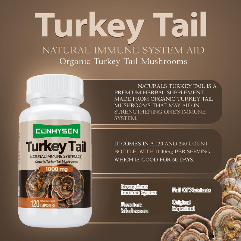 Premium Custom Turkey Tail Capsules Meningkatkan Kesehatan Otak dan Memori Bantuan Sistem Kekebalan Alam
