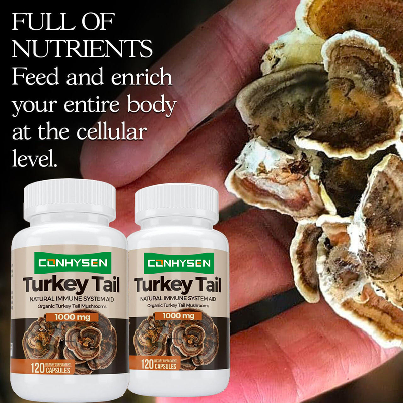 Premium Custom Turkey Tail Capsules Meningkatkan Kesehatan Otak dan Memori Bantuan Sistem Kekebalan Alam