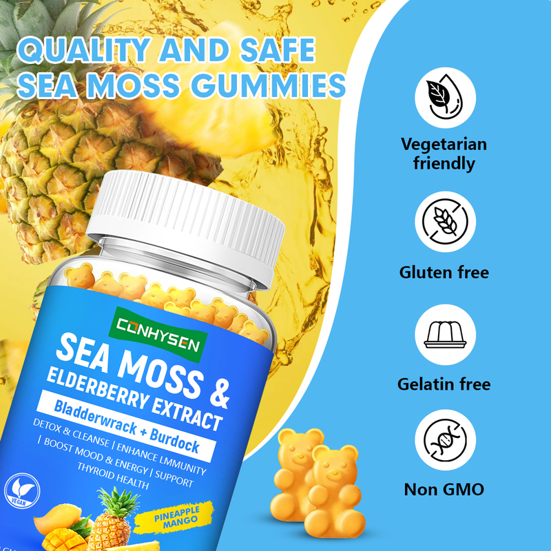 Permen karet Sea Moss Formula 8-In-1 Premium Kustom Tingkatkan Suasana Hati dan Energi Pabrik