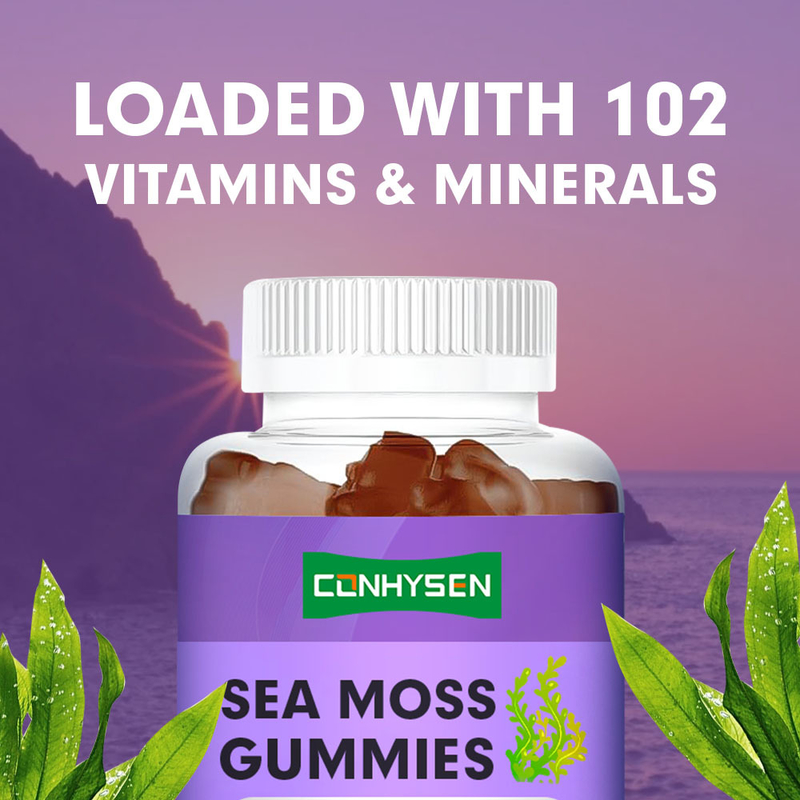 Organik Irish Sea Moss Gummies Pabrik Langsung untuk Dukungan Kekebalan Custom