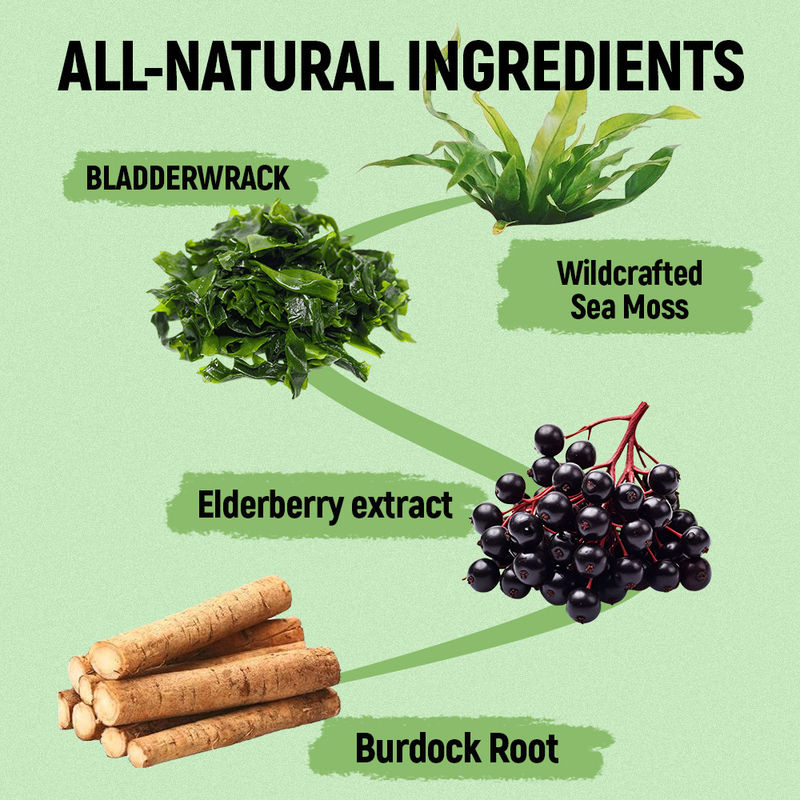 Permen Jeli Lumut Laut dengan Vitamin C dan Seng Pemasok Pabrik untuk Dukungan Antioksidan