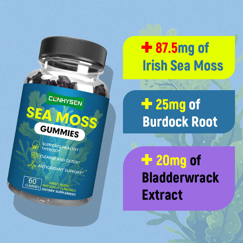 Pabrik Suplai Permen Gummy Ekstrak Lumut Laut Irlandia Organik untuk Pembersihan dan Detoksifikasi