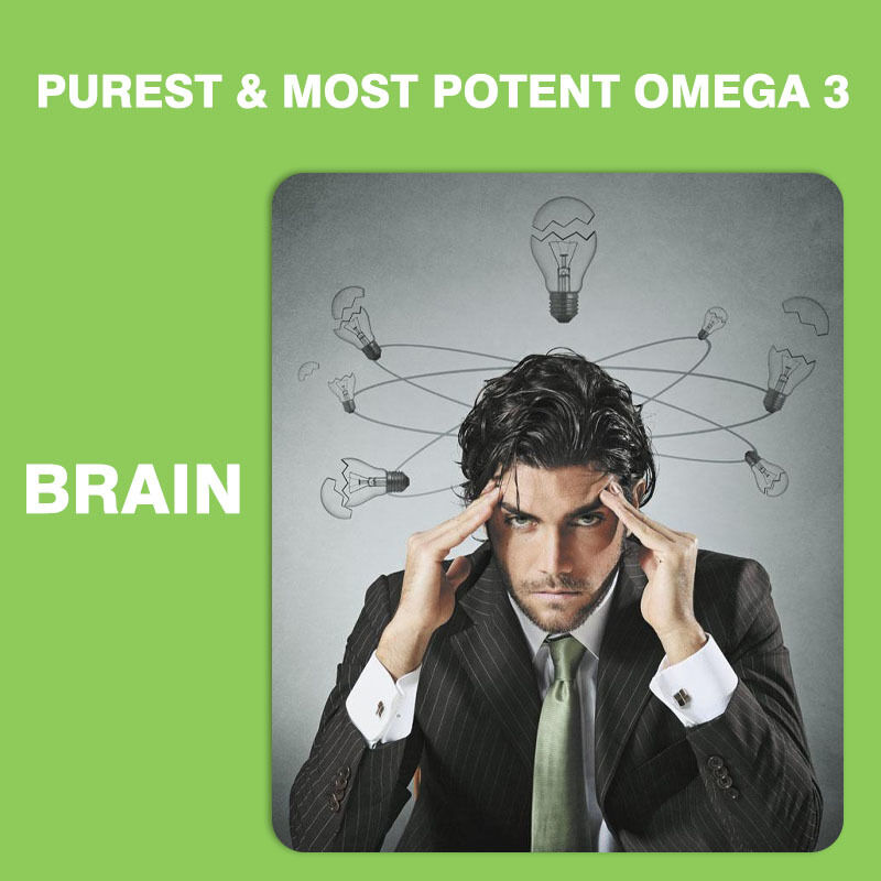 Permen karet Omega 3-6-9 terlaris untuk Anak-anak dan Dewasa Suplemen Vitamin untuk Otak dan Jantung Suplemen DHA untuk Remaja