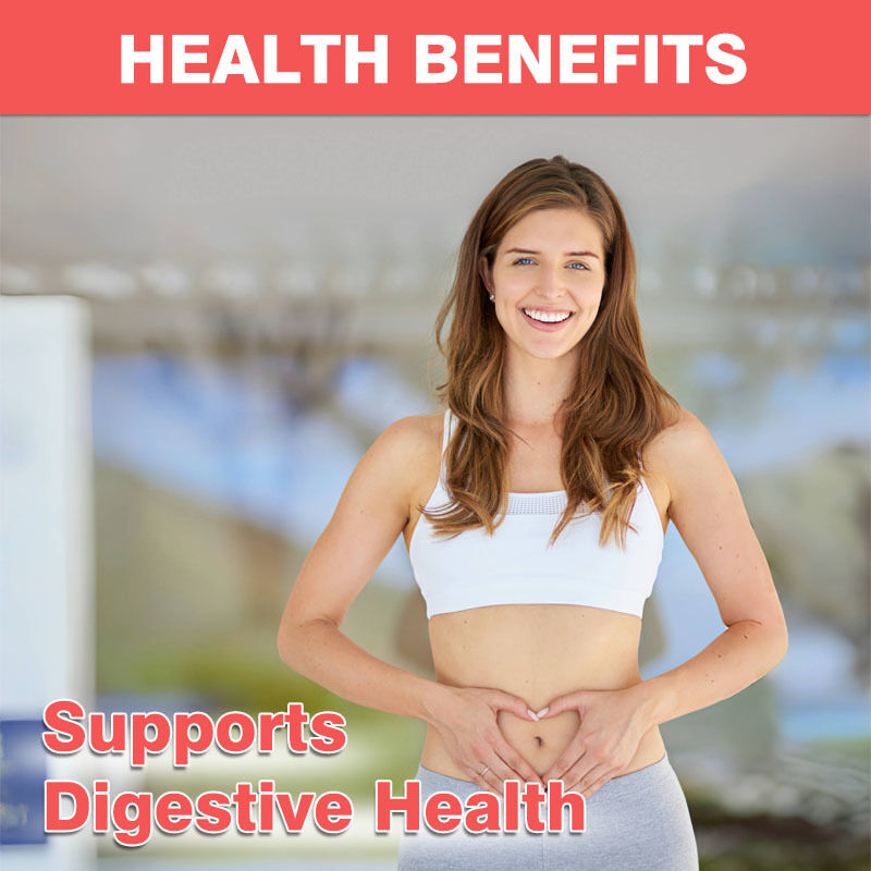 OEM/ODM 4g Prebiotik Probiotik Permen karet 60 Miliar CFU Imunitas Booster Kesehatan usus Peningkatan dengan Sifat Antioksidan Dewasa