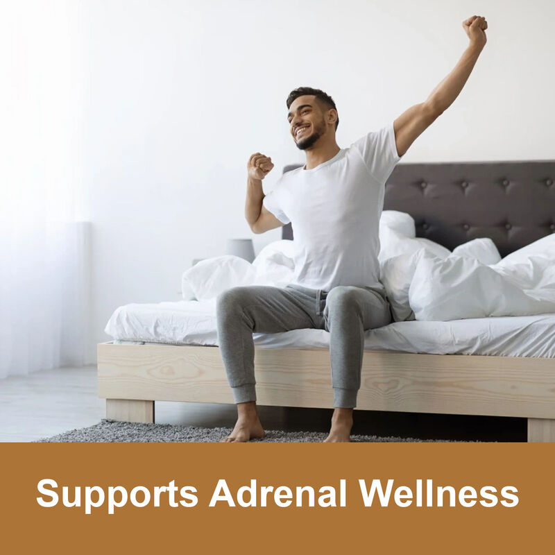 Label Pribadi Maca Root Gummies Kualitas Tinggi Pria Energi Meningkatkan Suplemen 1800mg Maca Ekstrak Gummies untuk Wanita & Pria