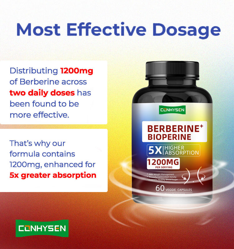 Berberine HCI Suplemen Akar Berkualitas Tinggi Kapsul,Pengendalian Berat Badan Berberine Bioperine Kapsul Serat Diet