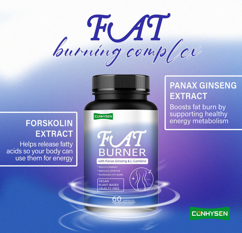 Suplemen pembakar lemak berkualitas tinggi untuk pria wanita dengan Panax Ginseng, L-Carnitine Ekstrak 60 lemak vegetarian Serat makanan