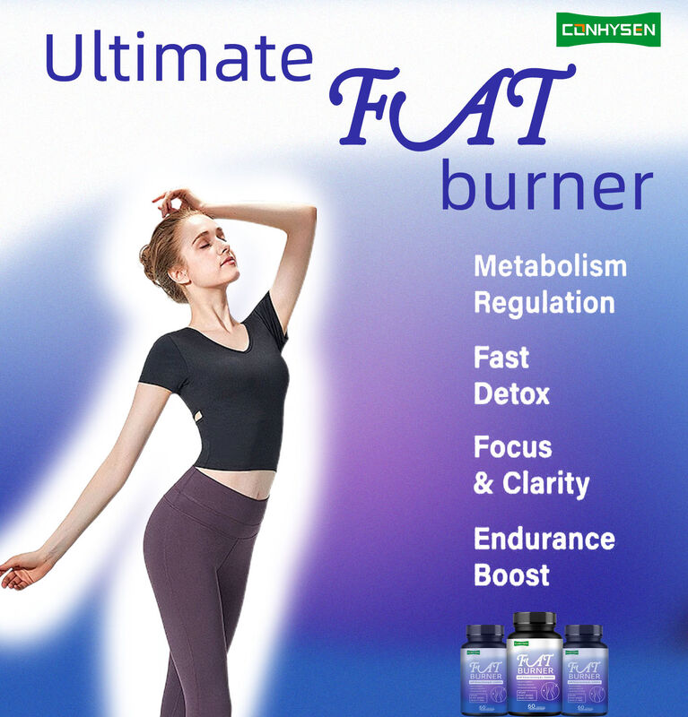 Suplemen pembakar lemak berkualitas tinggi untuk pria wanita dengan Panax Ginseng, L-Carnitine Ekstrak 60 lemak vegetarian Serat makanan