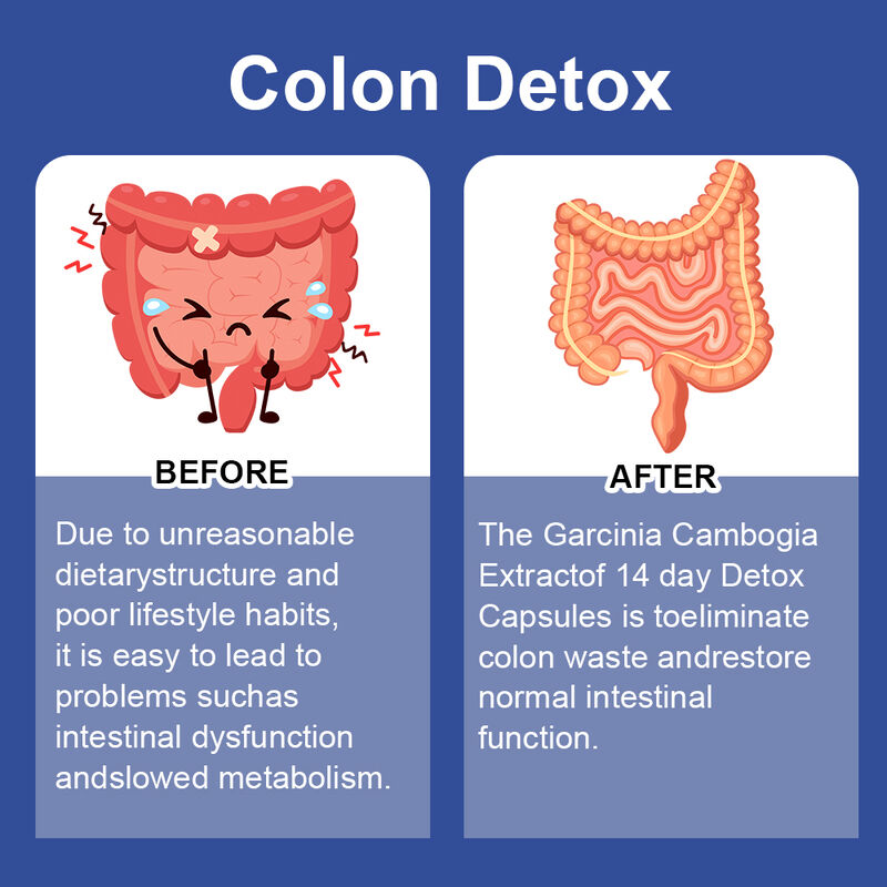 Label Pribadi 14 Hari Slim Kapsul Mendukung Kesehatan Pencernaan dan Penurunan Berat Badan Suplemen Diet Detox Kapsul
