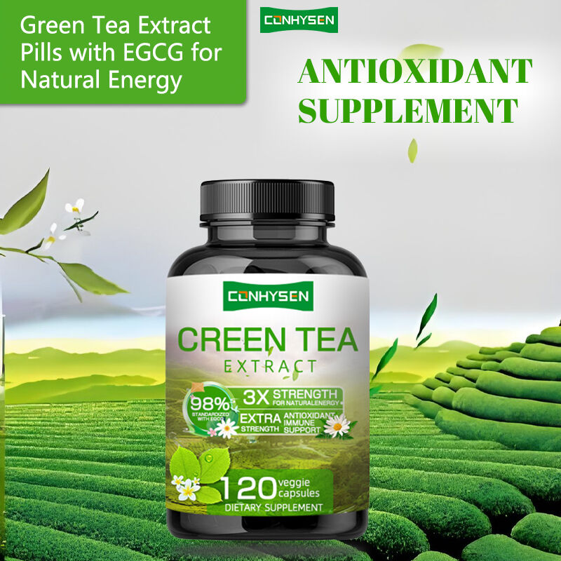 Private Label Green Tea Capsules Kaya EGCG Suplemen Antioksidan Dukungan kekebalan Berat Badan Menurunkan Berat Badan Pill pembakar lemak
