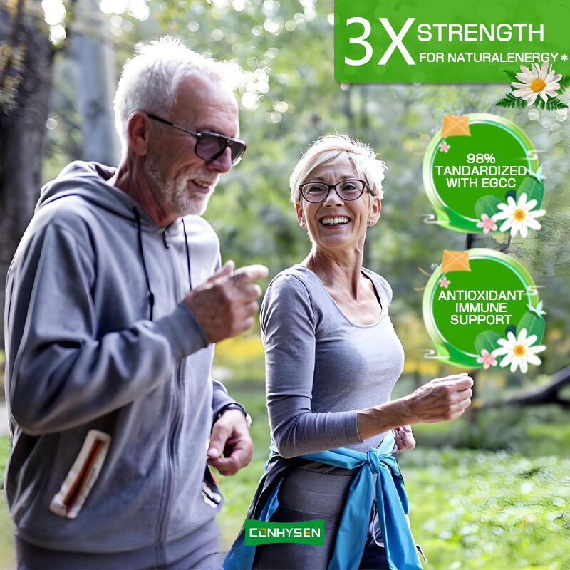 Private Label Green Tea Capsules Kaya EGCG Suplemen Antioksidan Dukungan kekebalan Berat Badan Menurunkan Berat Badan Pill pembakar lemak