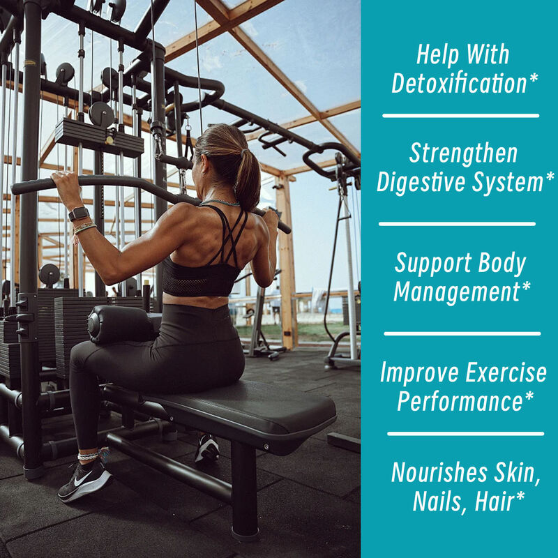 Kapsul Keto ACV BHB Label Pribadi OEM untuk Meningkatkan Metabolisme 1400mg Cuka Sari Apel untuk Serat Diet Pengontrol Berat Badan