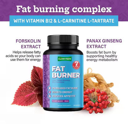 OEM Logo Kapsul pembakar lemak dengan Vitamin B12 L-Carnitine L-Tartrate Mengurangi nafsu makan