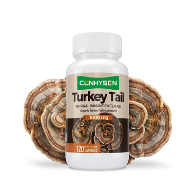 Premium Custom Turkey Tail Capsules Meningkatkan Kesehatan Otak dan Memori Bantuan Sistem Kekebalan Alam